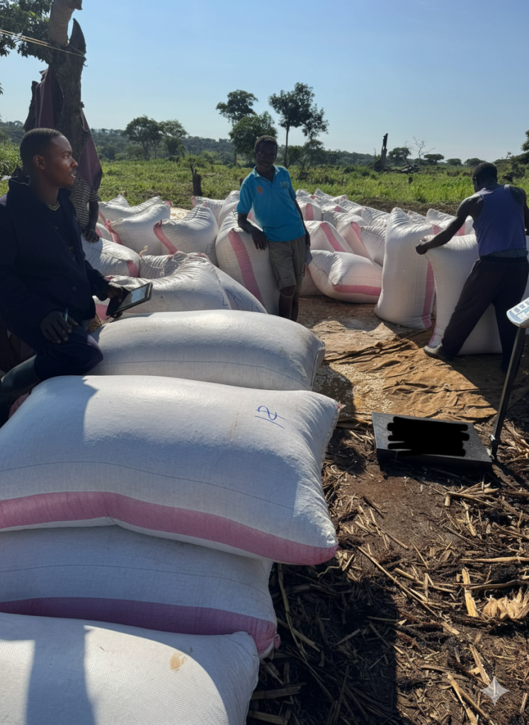 gemini generated image ecneshecneshecne (2)