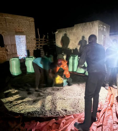 60068ada-7180-40dc-8644-22583da5c602