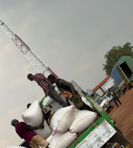 gemini generated image ecneshecneshecne (1)