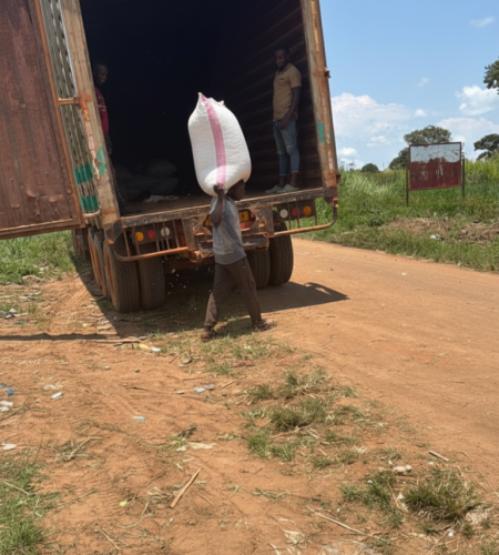 gemini generated image ecneshecneshecne (4)