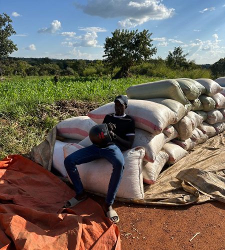 f99d95e9-ab86-4572-b4de-321edd6167a1